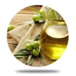 Vegetable Oil Industry